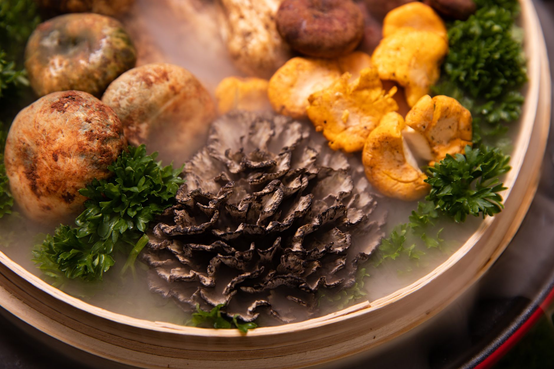 steamed chicken and mushroom bowl with herbs on kitchen counter