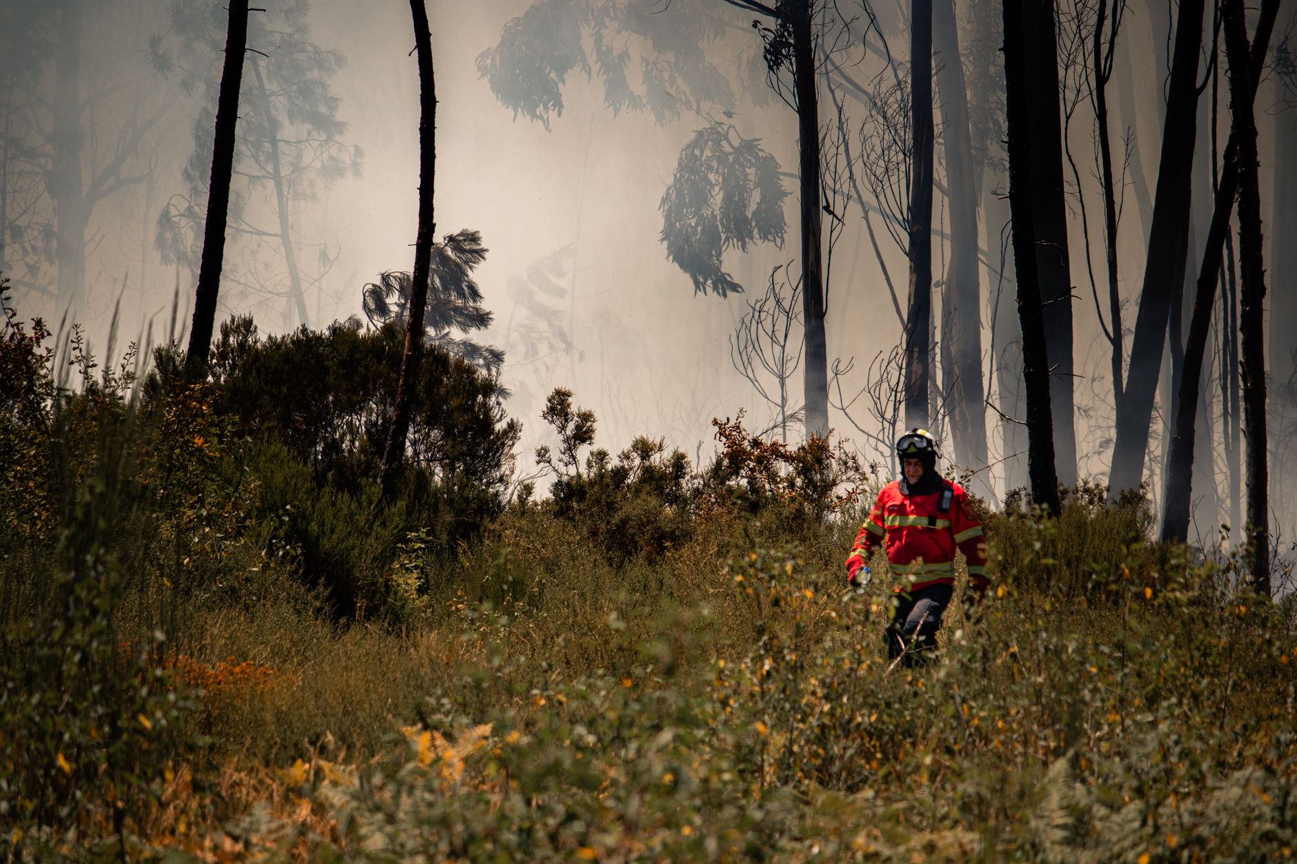 firefighters battling forest fire smoke